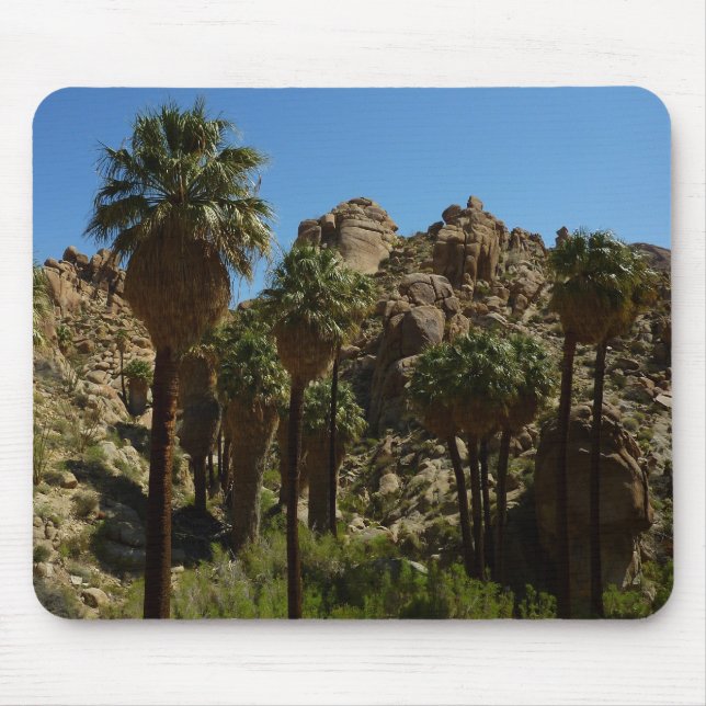 Lost Palms Oasis I at Joshua Tree National Park Mouse Mat (Front)