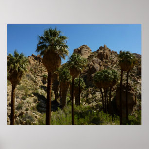 Lost Palms Oasis I at Joshua Tree National Park Poster