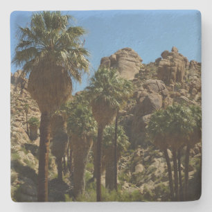 Lost Palms Oasis I at Joshua Tree National Park Stone Coaster