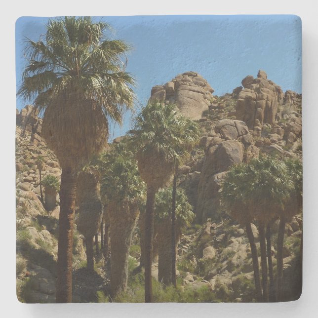 Lost Palms Oasis I at Joshua Tree National Park Stone Coaster (Front)