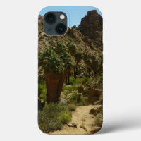 Lost Palms Oasis II at Joshua Tree National Park