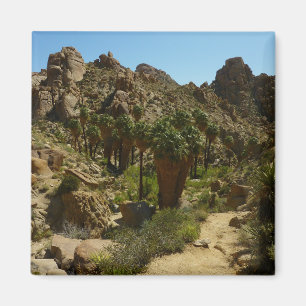 Lost Palms Oasis II at Joshua Tree National Park Magnet