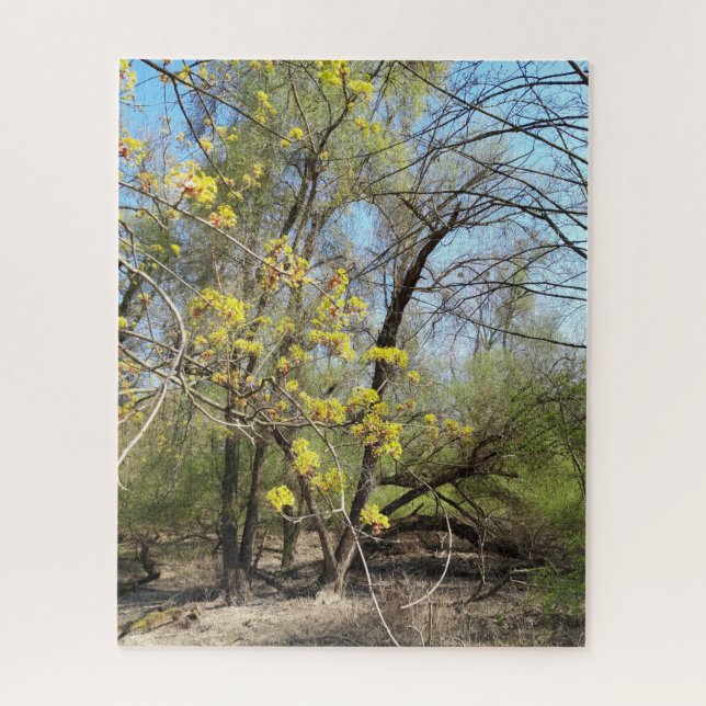 Lost Places , Meadowlands nature, Spring awakening Jigsaw Puzzle (Vertical)
