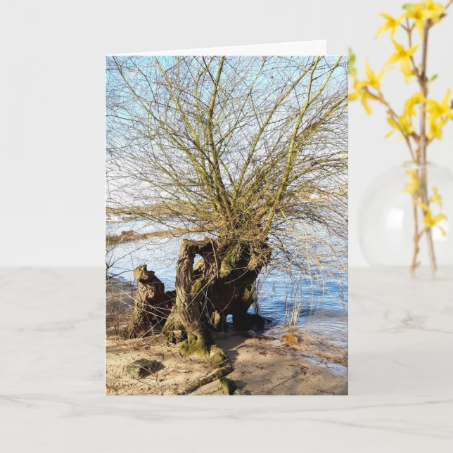 Lost Places , old Tree on the river bank Card (Yellow Flower)
