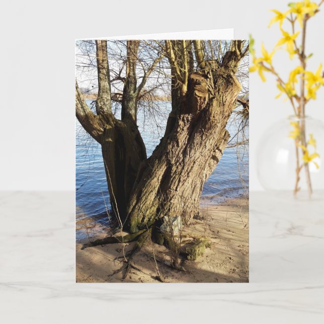 Lost Places , old Tree on the river bank Card (Yellow Flower)