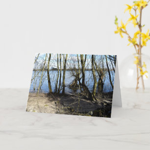 Lost Places , Trees on the river bank Card