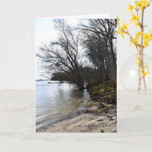 Lost Places , Trees on the river bank Card