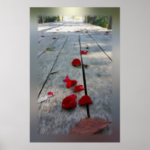 Lost red petals poster