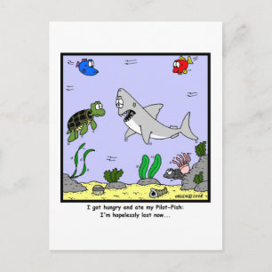 Lost: Shark Cartoon Postcard