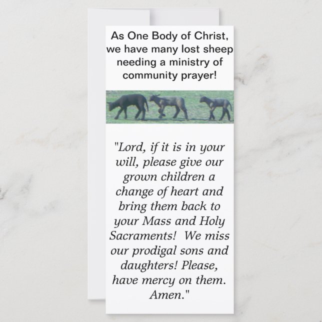 Lost Sheep Catholic Paryer Rack Card (Front)