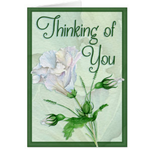 Lost Someone Precious