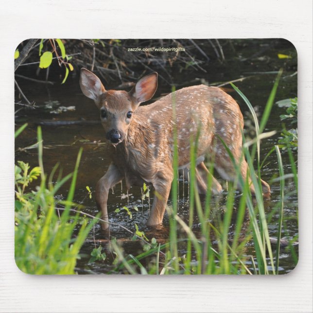 Lost Virginia Deer Fawn Baby Animal Wildlife Photo Mouse Mat (Front)