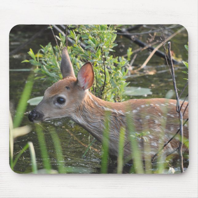 Lost Virginia Deer Fawn Baby Animal Wildlife Photo Mouse Mat (Front)