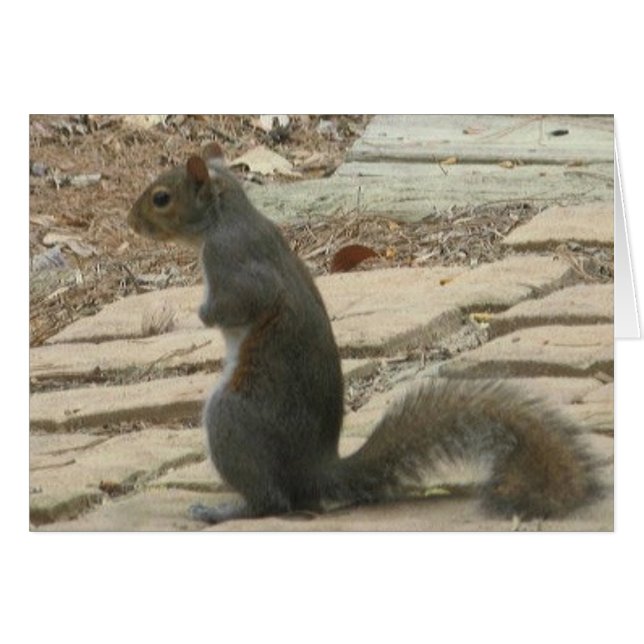 Lost without you squirrel card (Front Horizontal)