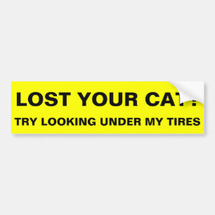 Lost your cat? bumper sticker