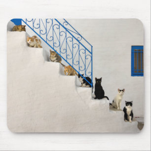 Lot of cats on a white stairway in a Greek village Mouse Mat