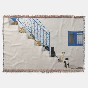 Lot of cats on a white stairway in a Greek village Throw Blanket