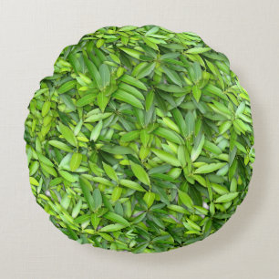 Lots of beautiful green leaves   round cushion