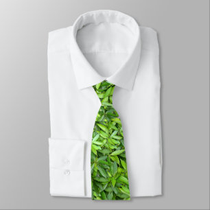 Lots of beautiful green leaves tie