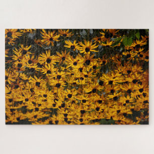 Lots Of Black Eyed Susans Jigsaw Puzzle
