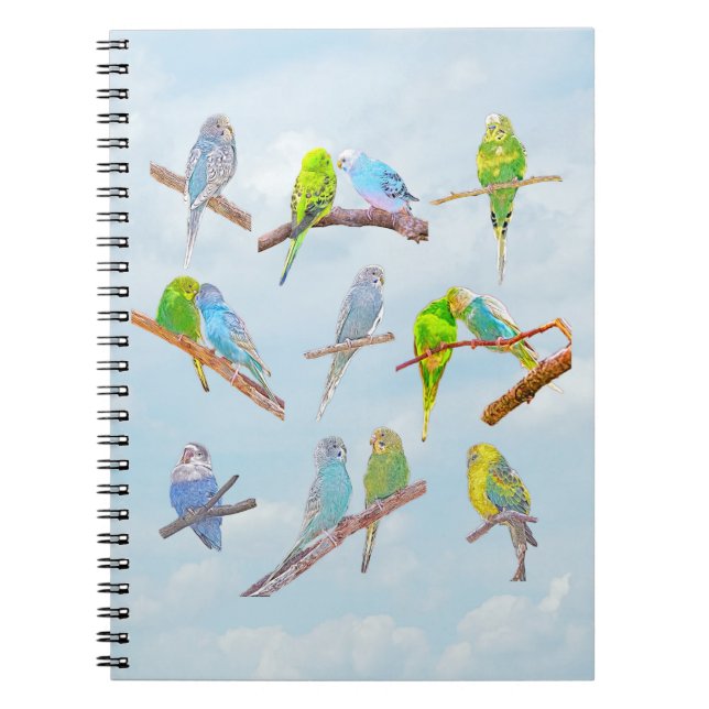 Lots of colorful parakeets - cute little birds   notebook (Front)