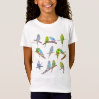Lots of colourful parakeets - cute little birds