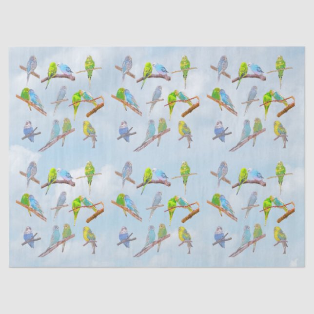 Lots of colourful parakeets - cute little birds tissue paper (Front)