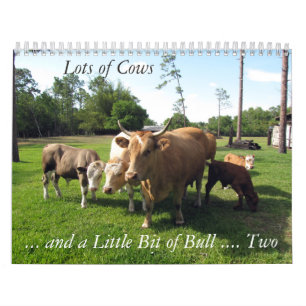 Lots of Cows & a Bit of Bull Too Calendar
