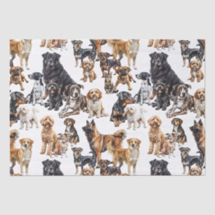 Lots of Dogs and a Cat Tissue Paper