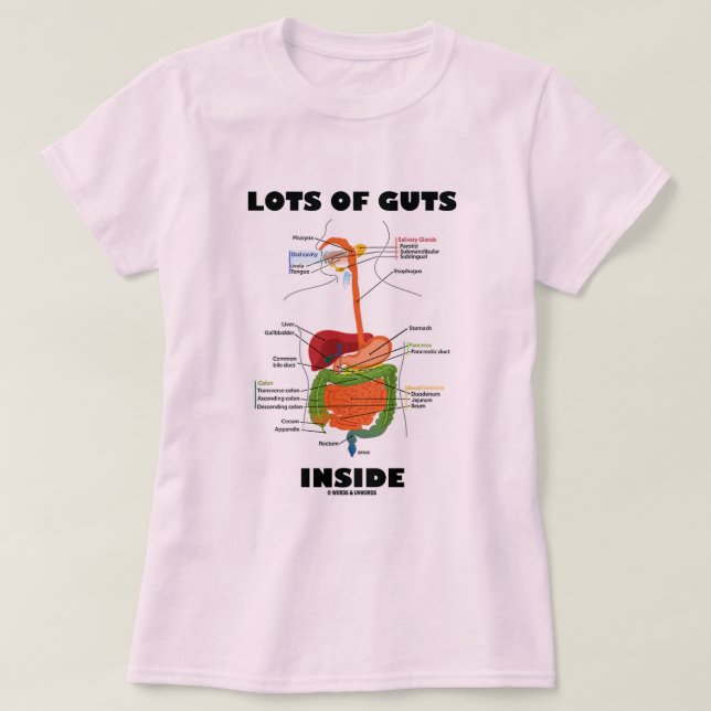 Lots Of Guts Inside (Digestive System) T-Shirt (Design Front)