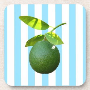 Lots of Lime Coaster