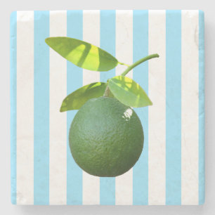 Lots of Lime Stone Coaster