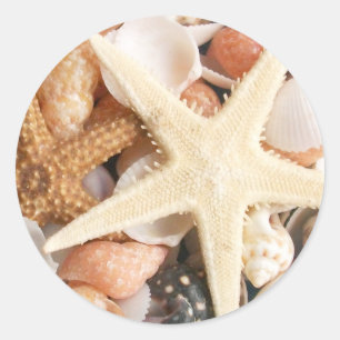 Lots of Seashells Classic Round Sticker