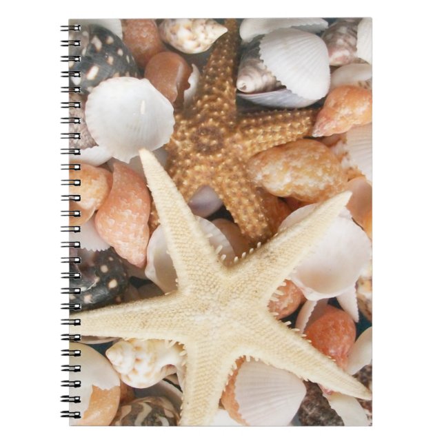 Lots of Seashells Notebook (Front)