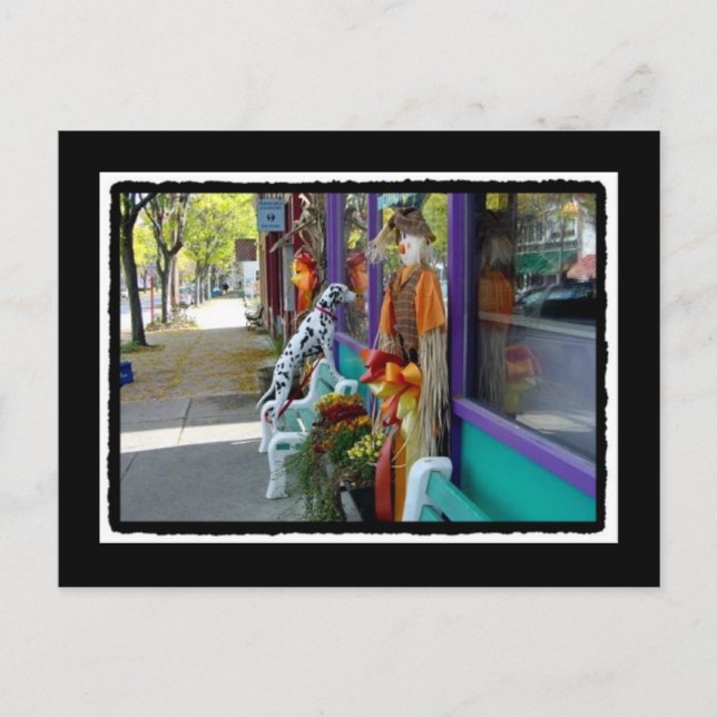 Lots of Spots Postcard (Front)