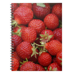 Lots of Strawberries Notebook