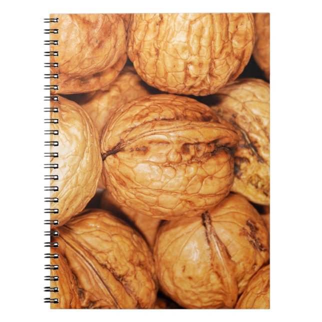 Lots of Walnuts in Shells Notebook (Front)