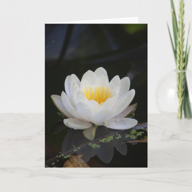 Lotus #2360 card (Front)
