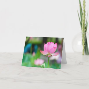 Lotus All Occasion Notecard
