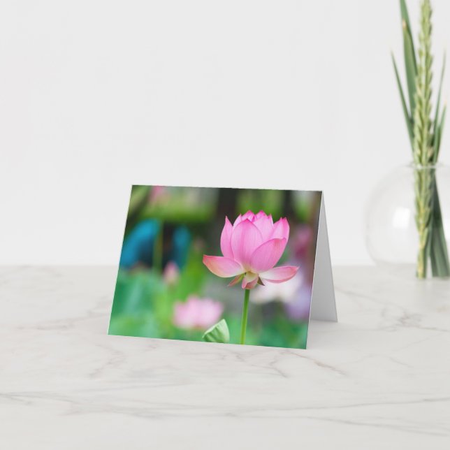Lotus All Occasion Notecard (Front)