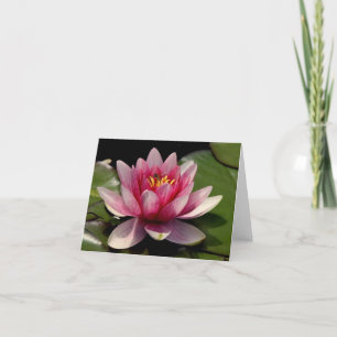 Lotus All Occasion Notecard