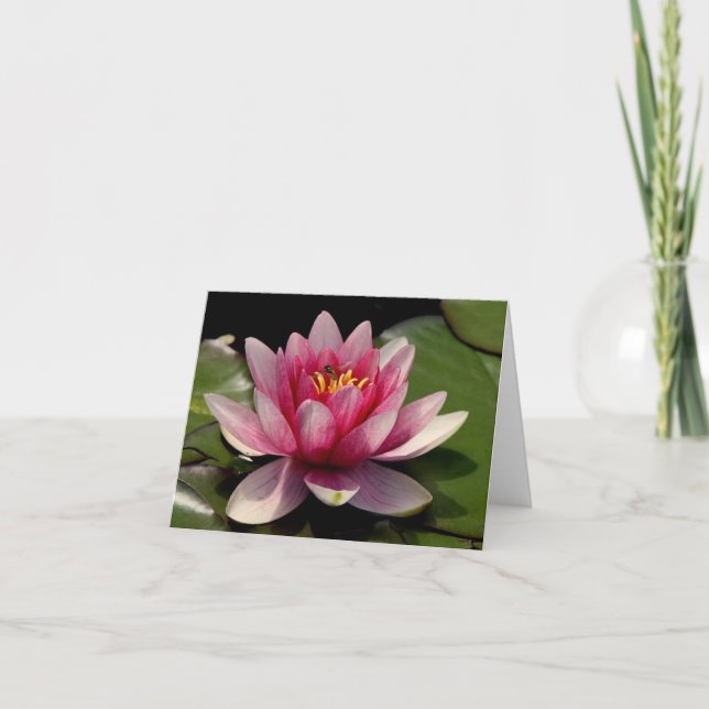 Lotus All Occasion Notecard (Front)