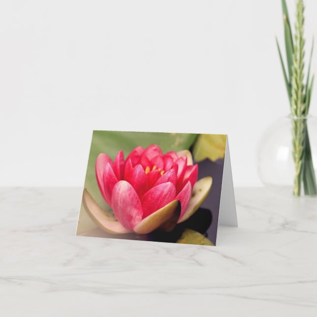 Lotus All Occasion Notecard (Front)