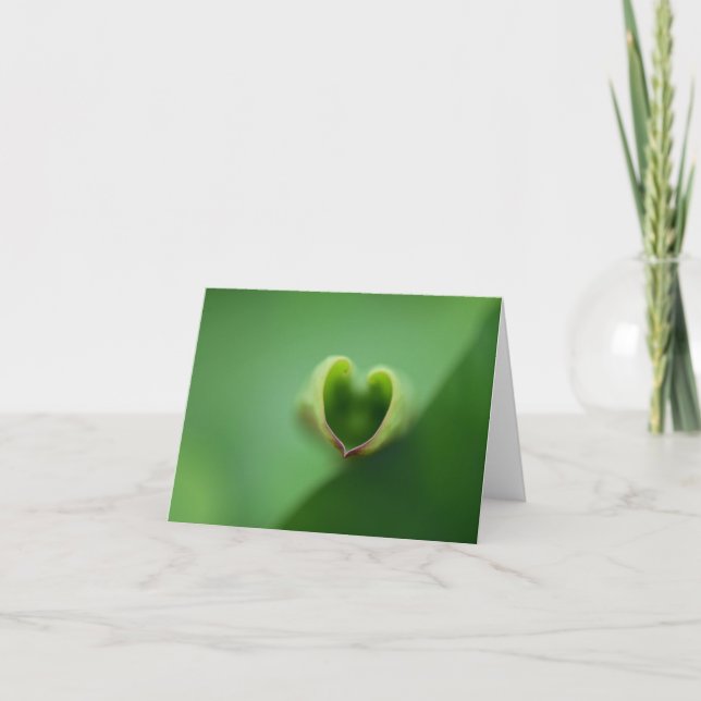 Lotus All Occasion Notecard (Front)