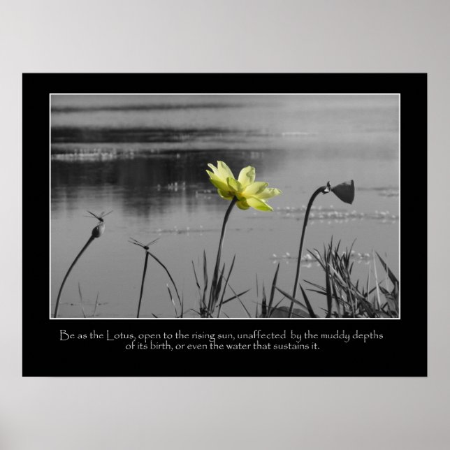 Lotus and Dragonflies Motivational Poster (Front)