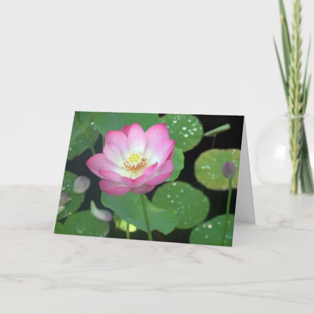 Lotus Beauty Card (Front)