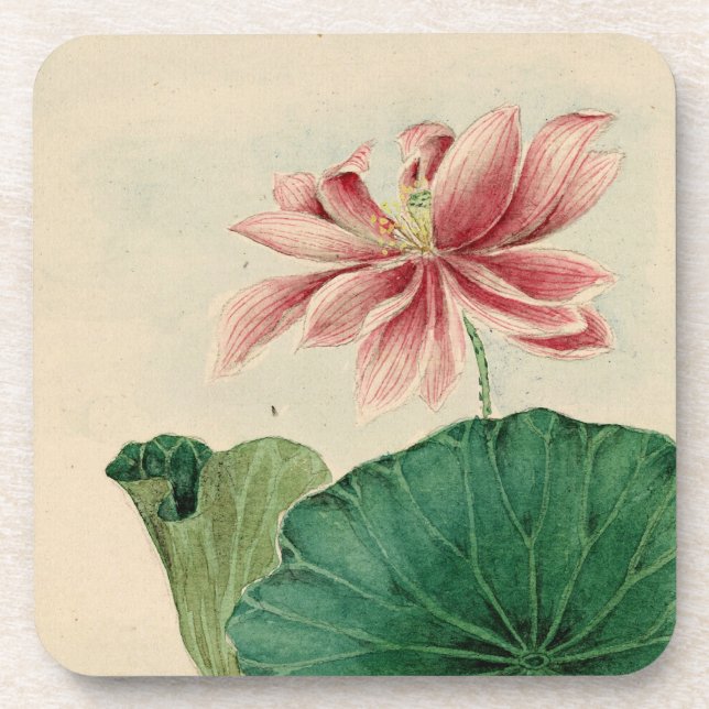 Lotus blossom Cork Coaster (Front)