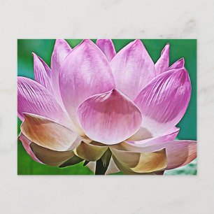 Lotus blossom holiday postcard