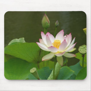 Lotus Blossom Mouse Mat