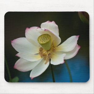 Lotus Blossom Mousepad
